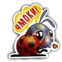Ladybug