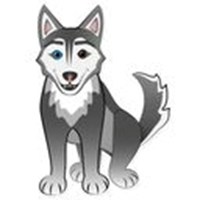 funny husky