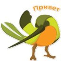 hummingbird