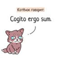 ml. pom