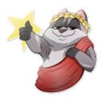 Raccoon Jackson