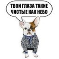 doggies
