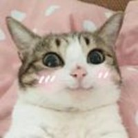 Meow