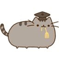 Pusheen 2