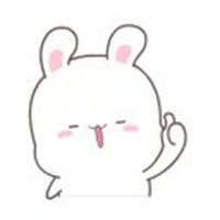 fluffy bunny
