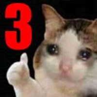 Cats business