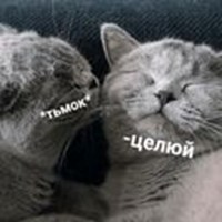 Kitty Tsmok